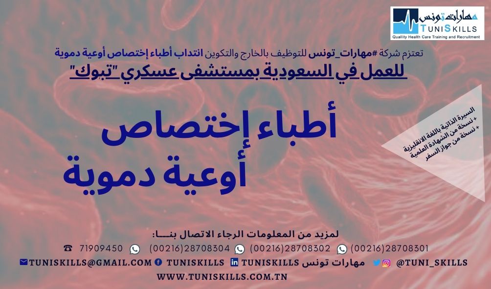 TuniSKILLS offres